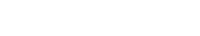 Endo-Kapszula